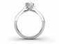Rings SPR71 image three