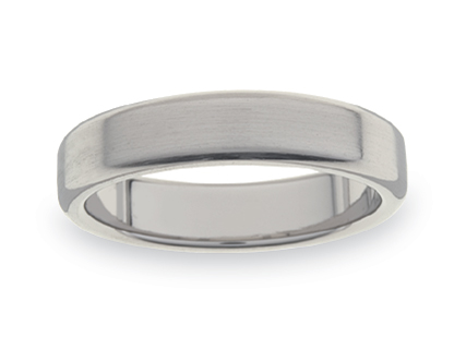 Titanium Wedding Rings WGT10